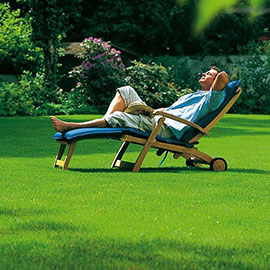 Элитрые газоны